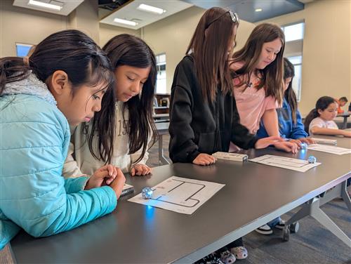 students working with ozobots